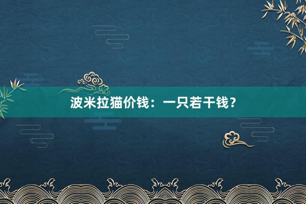 波米拉猫价钱：一只若干钱？